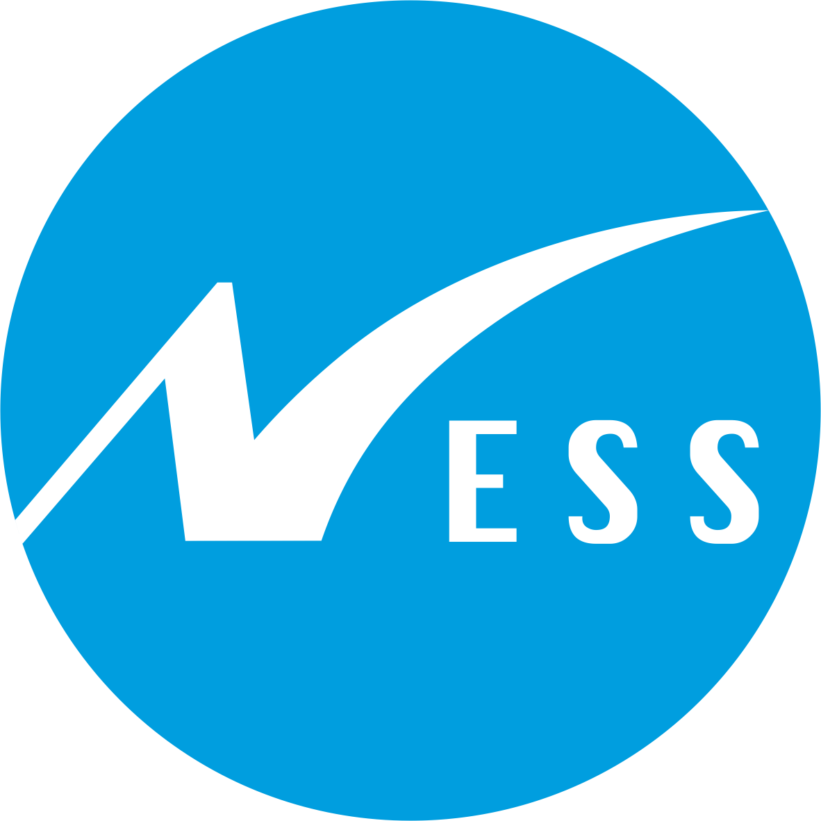 Ness Technologies RO